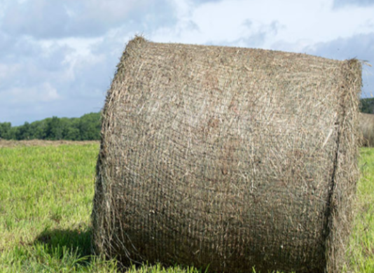 Hay-Bale.png