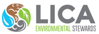 LICA Logo