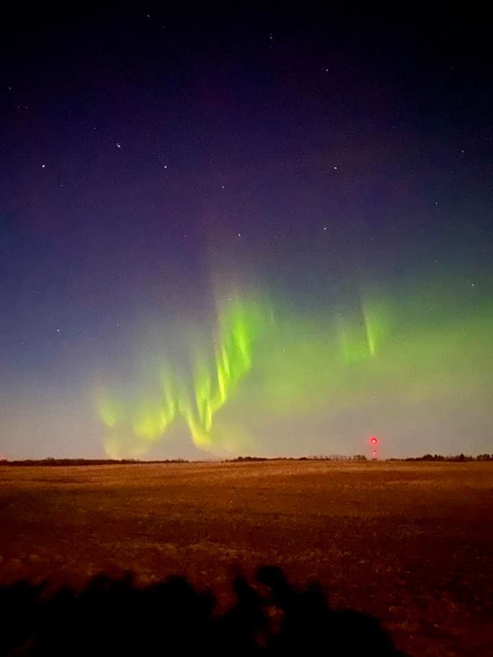 Northern Lights, 2020 credit Amanda Shapka