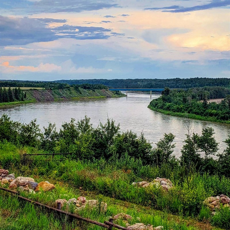 river surrounded by green grass & trees