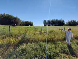 gal spraying for weeds